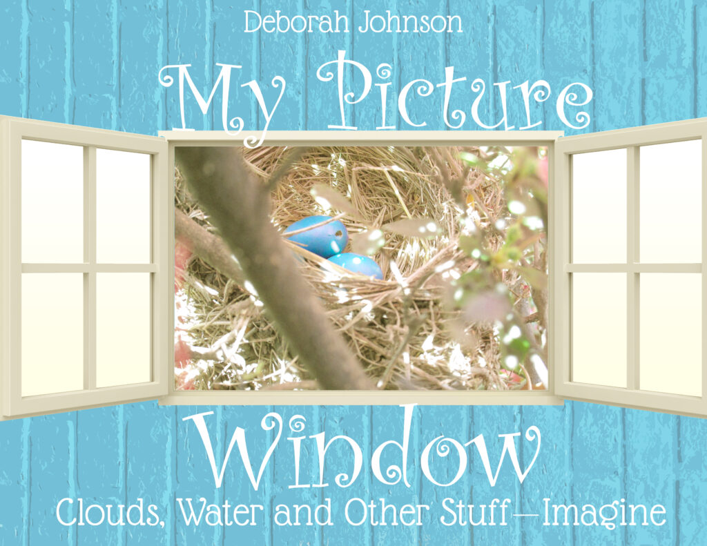 My Picture Window by Deborah Johnson
